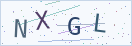 验证码