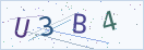 验证码