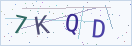 验证码