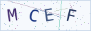 验证码
