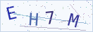 验证码