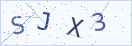 验证码