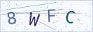 验证码
