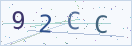 验证码