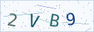 验证码