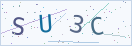 验证码