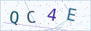 验证码