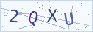 验证码