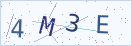 验证码