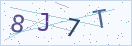 验证码
