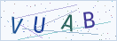 验证码