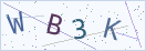 验证码