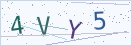验证码