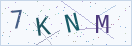验证码