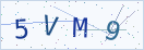 验证码