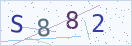 验证码