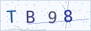 验证码