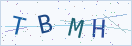 验证码