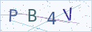 验证码