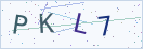 验证码