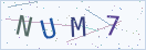 验证码