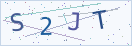 验证码