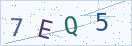 验证码