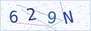 验证码
