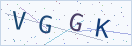 验证码