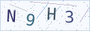 验证码