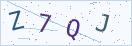 验证码