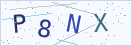 验证码