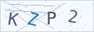 验证码