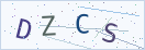 验证码