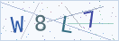 验证码