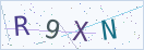 验证码