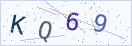 验证码