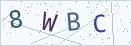 验证码