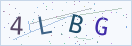 验证码