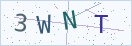验证码