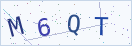 验证码