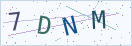 验证码