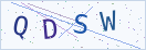 验证码
