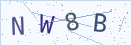 验证码