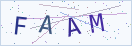 验证码