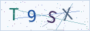 验证码