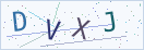 验证码