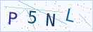 验证码