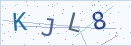 验证码