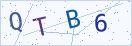 验证码